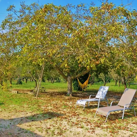 Trullo Lino * Cisternino