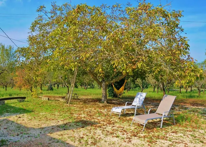 Trullo Lino * チステルニーノ